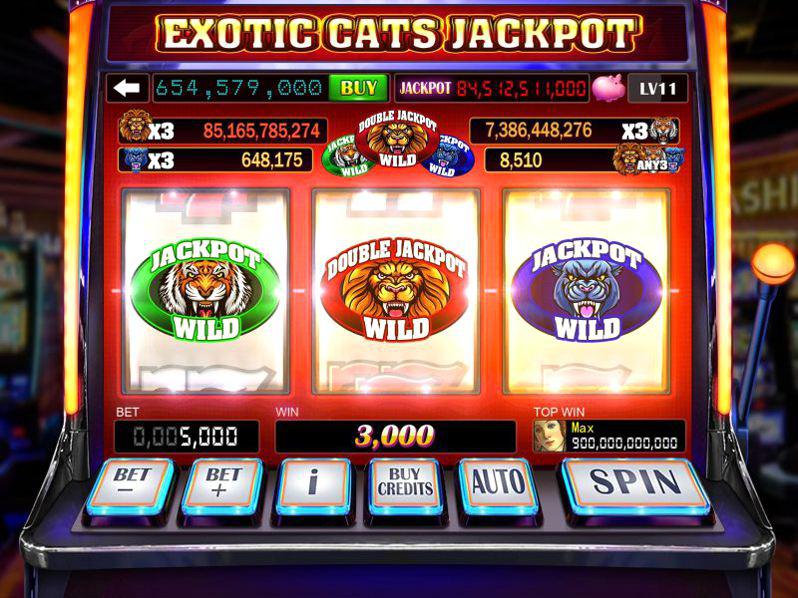 cats jackpot